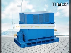 50hz 5000kw উচ্চ ভোল্টেজ বৈদ্যুতিক মোটর