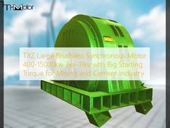 TXZ বড় ব্রাশহীন সিঙ্ক্রোন মোটর 400-15000kw 3kv-11kv উচ্চ স্টার্ট টর্ক সঙ্গে খনি এবং সিমেন্ট শিল্পের জন্য
