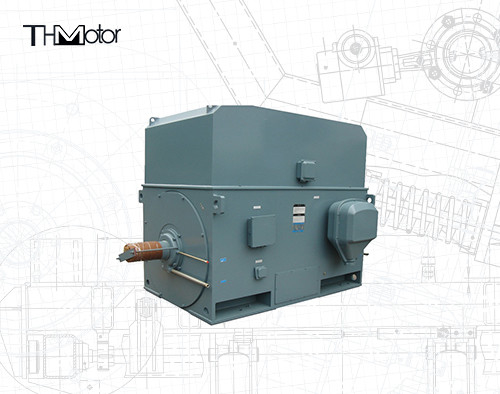 IP55 400kw থ্রি ফেজ অ্যাসিনক্রোন ভেরিয়েবল ফ্রিকোয়েন্সি ড্রাইভ মোটর IC611