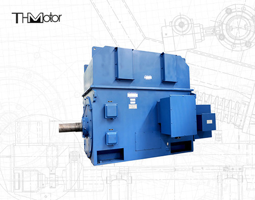 3000V 6000V 1500rpm ফ্লেমপ্রুফ ইলেকট্রিক মোটর অ্যাসিঙ্ক্রোনাস P44 IP54 IP55
