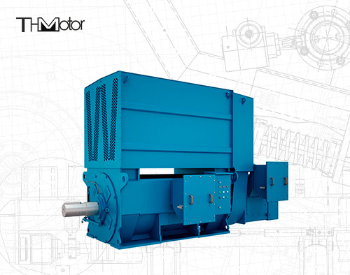 2200kw গড়া ইস্পাত উচ্চ টর্ক ক্ষত রটার ইন্ডাকশন মোটর B3 V1