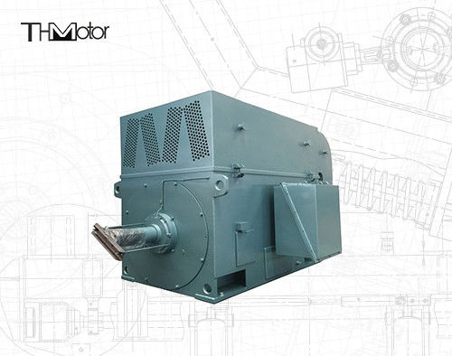 সিকিউরেল কেজ হাই স্পিড ইলেকট্রিক মোটর