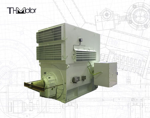 শিল্প ব্যবহারের জন্য ডব্লিউপিআই ডব্লিউপিআইআই সিরিজ থ্রি-ফেজ ইন্ডাকশন মোটর