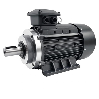 3kV স্থায়ী চুম্বক সিনক্রোনাস মোটর 60 মেরু 400-15000kw