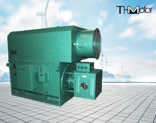 10KV 50HZ হাই ভোল্টেজ ইন্ডাকশন এসি মোটর