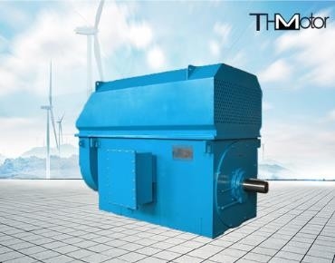 IP23 শক্তি সঞ্চয় কম শব্দ 100rpm থেকে 3000rpm উচ্চ ভোল্টেজ বৈদ্যুতিক মোটর 50Hz 10KV