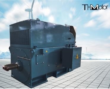 Y800 6000kw বড় কাঠবিড়ালি খাঁচা উচ্চ ভোল্টেজ বৈদ্যুতিক মোটর 1500r/ Mini IP54
