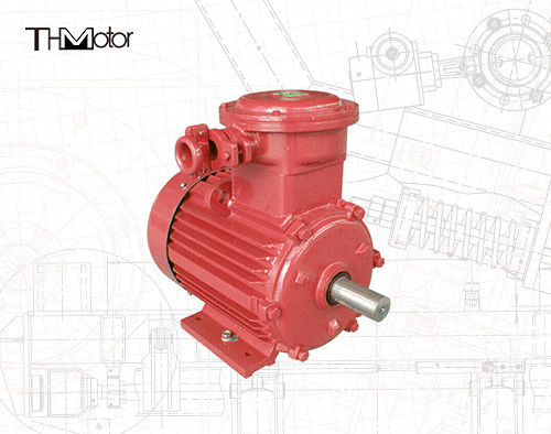 ভিভিভিএফ স্পিড রেগুলেশন ফ্লেমপ্রুফ ইলেকট্রিক মোটর 380-440V ভোল্টেজ রেটিং IMB3