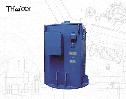 ৩৬০০rpm থ্রি ফেজ সার্কুলেটিং পাম্প পাওয়ার প্ল্যান্ট মোটর IC01 IC411 IC611