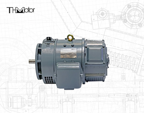 CE IEC Z2 সিরিজের ছোট উচ্চ ভোল্টেজ ডিসি মোটর 115v 220v z2 ছোট ডিসি মোটর