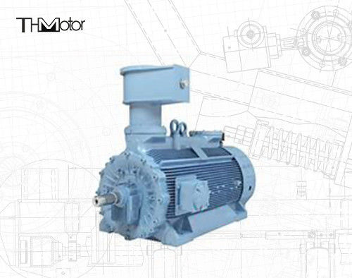 1500rpm উচ্চ ভোল্টেজ অ্যাসিনক্রোন ফ্লেমপ্রুফ বৈদ্যুতিক মোটর H800